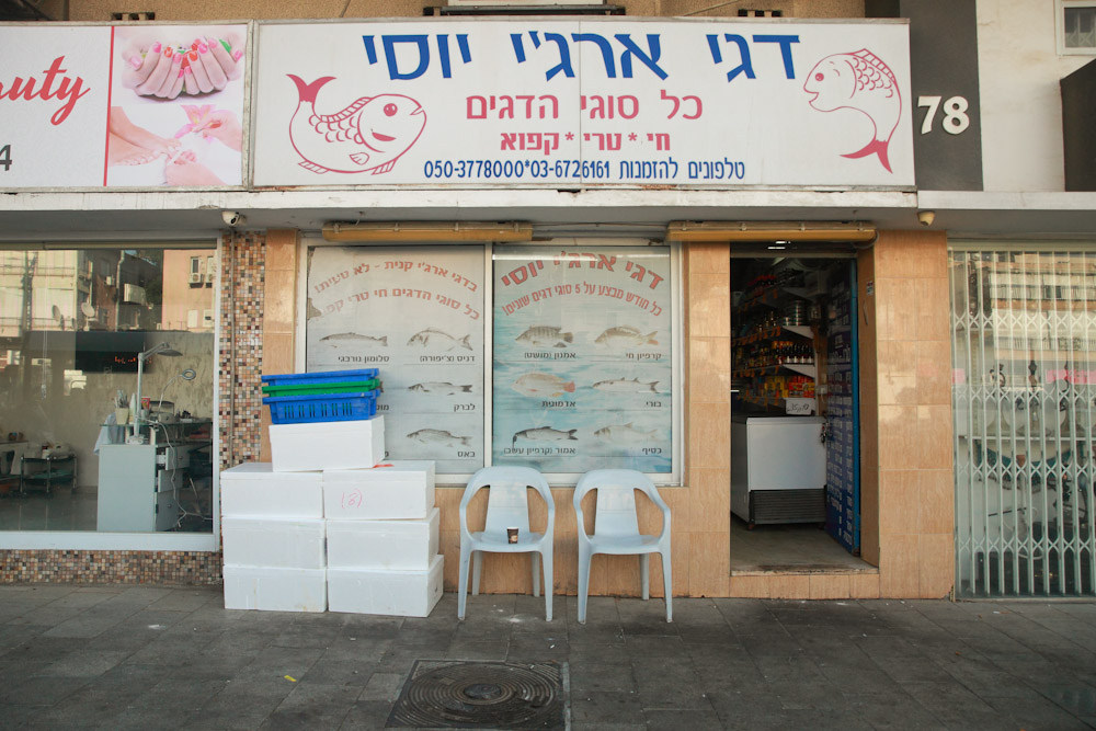 The Argi Yossi Fish Shop: A Story About Love, Loss and Fish