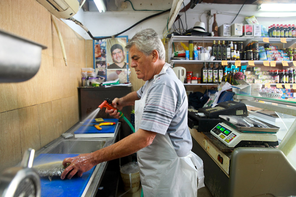 The Argi Yossi Fish Shop: A Story About Love, Loss and Fish