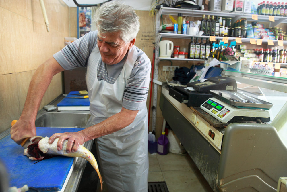 The Argi Yossi Fish Shop: A Story About Love, Loss and Fish