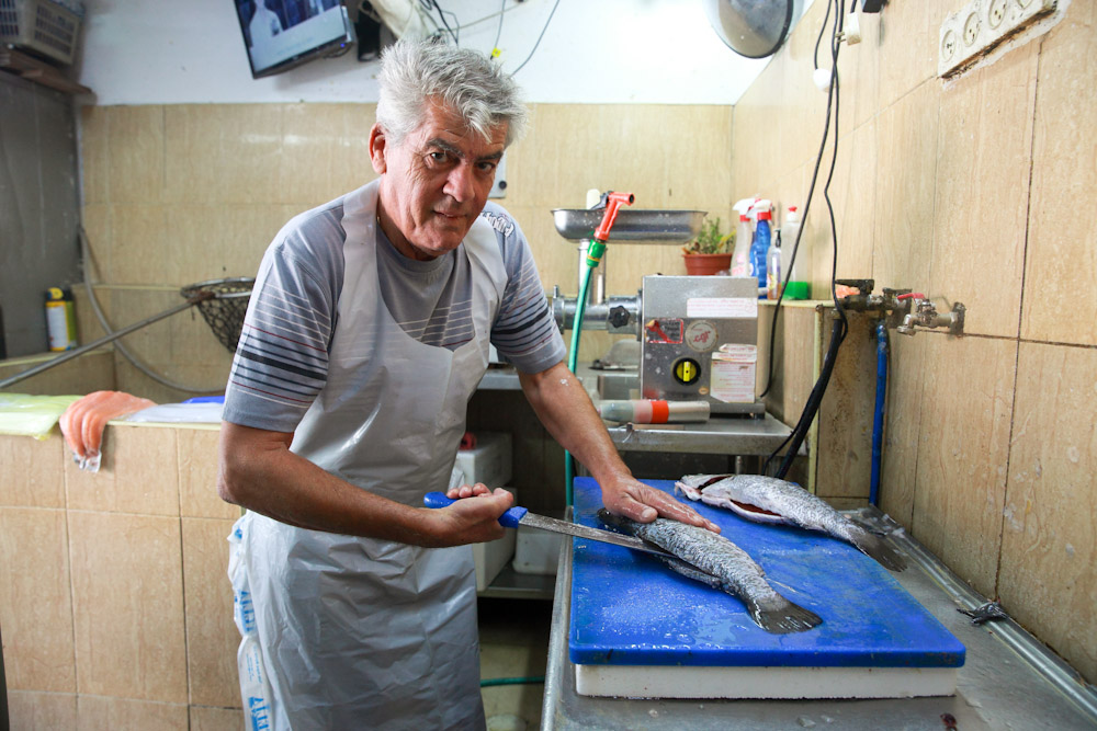 The Argi Yossi Fish Shop: A Story About Love, Loss and Fish